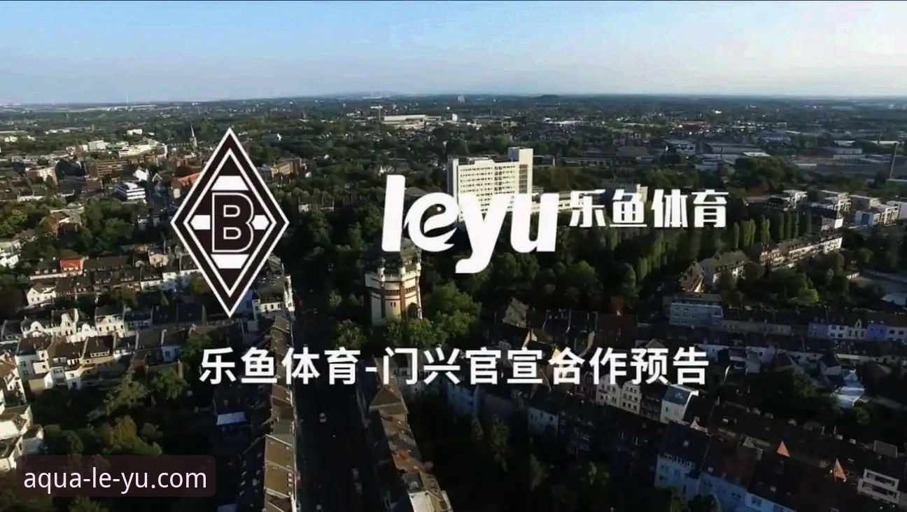 乐鱼体育功能安装失败问题排查与解决指南