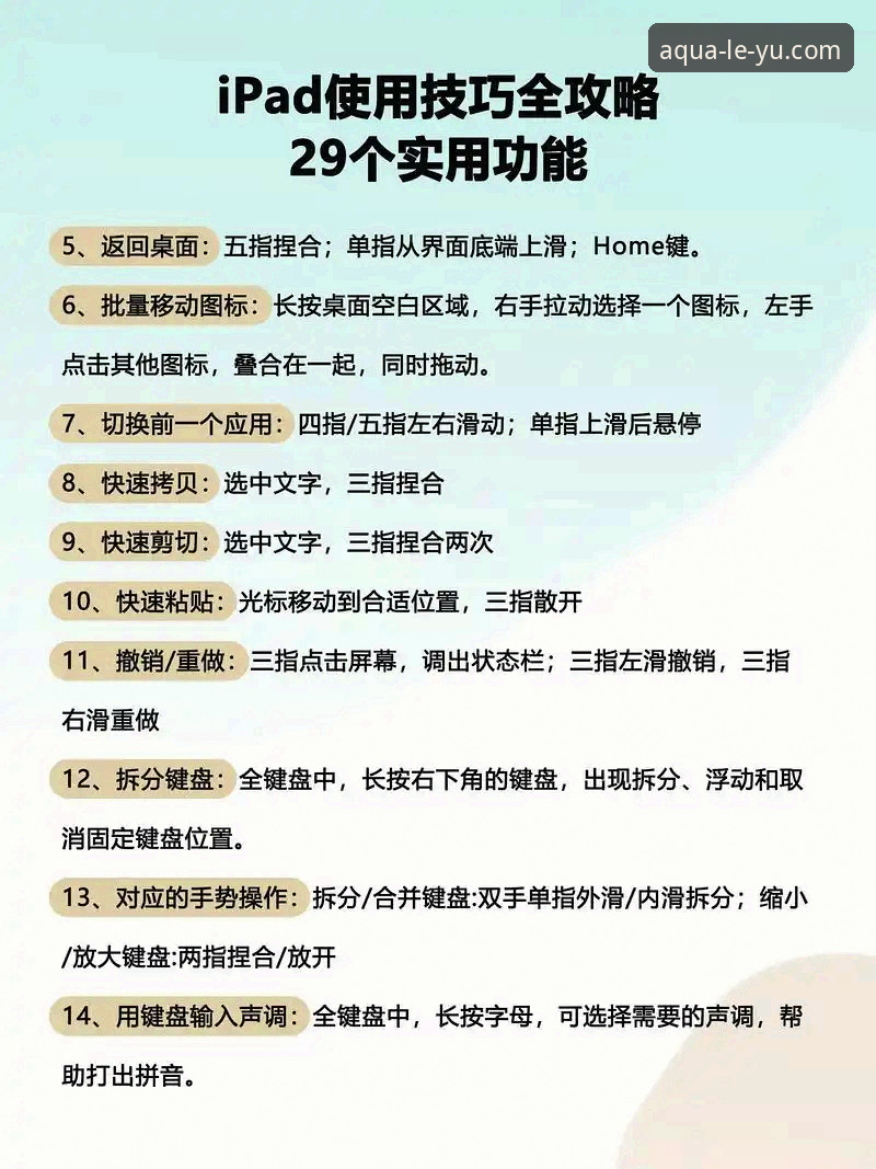 乐鱼体育平台电脑版使用实用指南：从安装到观赛的完整经验分享